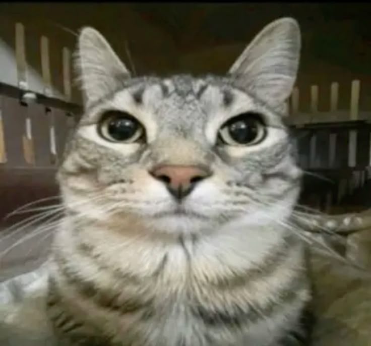 This is literally me